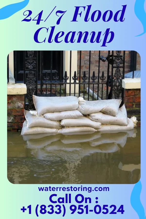 24/7 Flood Cleanup in Wakefield, VA