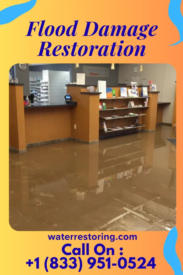 Flood Damage Restoration in Wakefield, VA