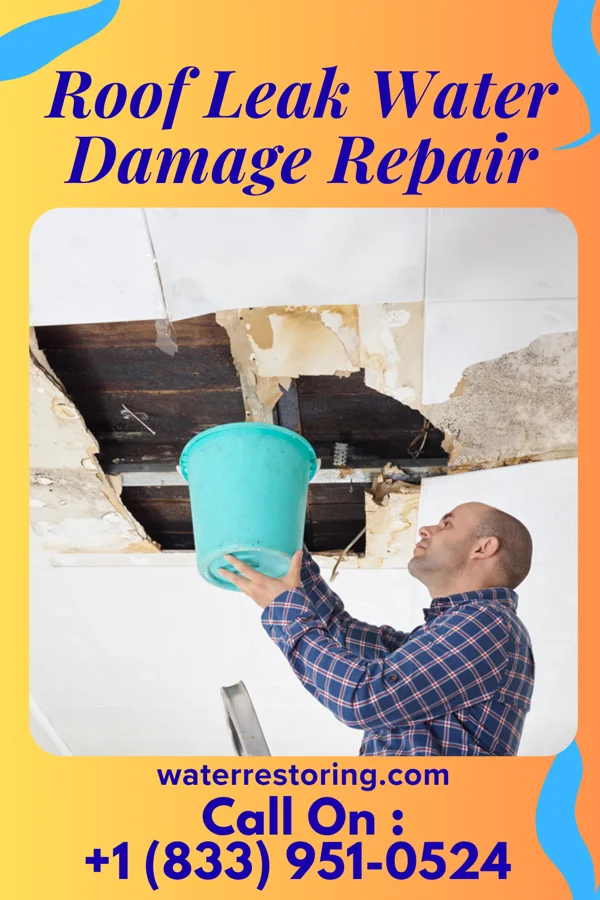 Roof Leak Water Damage Repair in Wakefield, VA