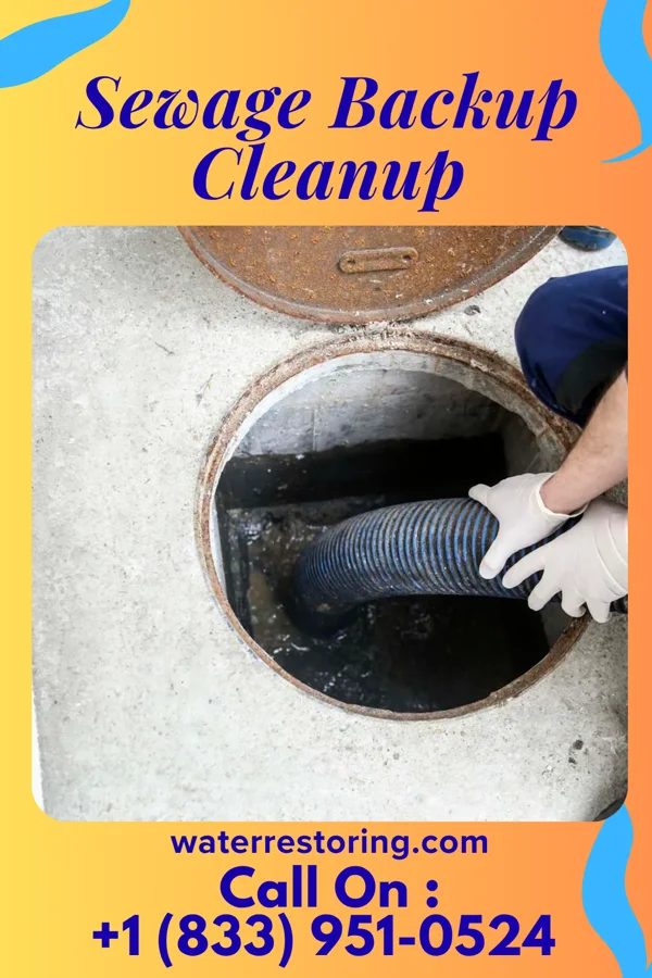 Sewage Backup Cleanup in Wakefield, VA