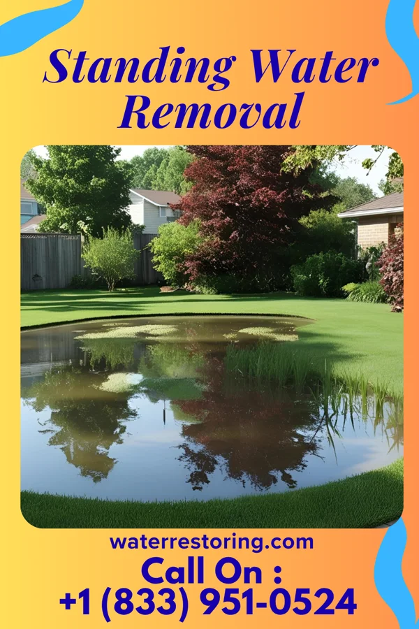 Standing Water Removal in Wakefield, VA